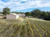 113 Hoffnungsthal Road, Lyndoch, SA 5351-Image