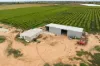 117 Sixth Street, Merbein, Vic 3505-Image