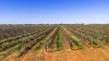 138 Markaranka Road, Taylorville, SA 5330-Image