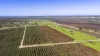 138 Markaranka Road, Taylorville, SA 5330-Image