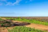 138 Markaranka Road, Taylorville, SA 5330-Image