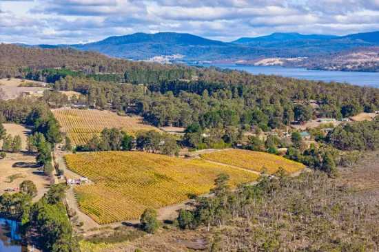 1848 Cygnet Coast Road, Cradoc, Tas 7109