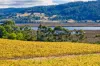 1848 Cygnet Coast Road, Cradoc, Tas 7109-Image