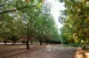 2050 Kulkyne Way, Iraak, Vic 3494-Image