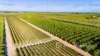 2050 Kulkyne Way, Iraak, Vic 3494-Image