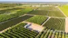 2050 Kulkyne Way, Iraak, Vic 3494-Image