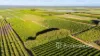 2050 Kulkyne Way, Iraak, Vic 3494-Image