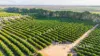 2050 Kulkyne Way, Iraak, Vic 3494-Image