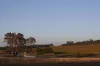 2115 Burke and Wills Track, Baynton, Vic 3444-Image