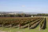 2115 Burke and Wills Track, Baynton, Vic 3444-Image