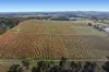 2115 Burke and Wills Track, Baynton, Vic 3444-Image
