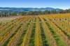 2115 Burke and Wills Track, Baynton, Vic 3444-Image