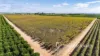 2836 Kulkyne Way, Colignan, Vic 3494-Image