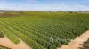2836 Kulkyne Way, Colignan, Vic 3494-Image