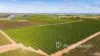2836 Kulkyne Way, Colignan, Vic 3494-Image