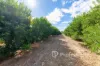 2836 Kulkyne Way, Colignan, Vic 3494-Image