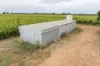 344 Fifth Street, Merbein, Vic 3505-Image