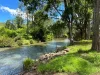 55 Forest Road, Kyogle, NSW 2474-Image