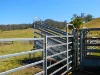 55 Forest Road, Kyogle, NSW 2474-Image