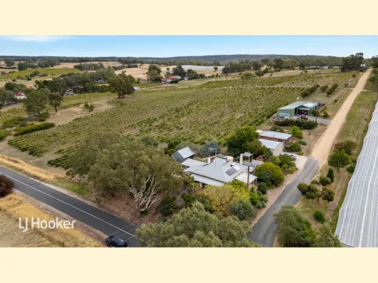 550 Flaxmans Valley Road, Angaston, SA 5353