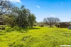 80 Krieg Road, Lyndoch, SA 5351-Image