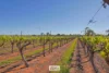 83A Belar Avenue, Irymple, Vic 3498-Image