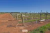 83A Belar Avenue, Irymple, Vic 3498-Image