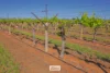 83A Belar Avenue, Irymple, Vic 3498-Image