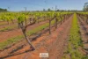 83A Belar Avenue, Irymple, Vic 3498-Image