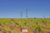 83A Belar Avenue, Irymple, Vic 3498-Image