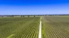 963 Rowney Road, Mundulla, SA 5270-Image
