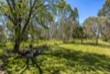 963 Rowney Road, Mundulla, SA 5270-Image