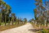 963 Rowney Road, Mundulla, SA 5270-Image