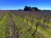 Address available on request, Cardross, Vic 3496-Image