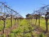 Address available on request, Cardross, Vic 3496-Image