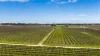 Davis Road, Coonawarra, SA 5263-Image