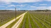 Davis Road, Coonawarra, SA 5263-Image