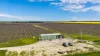 Davis Road, Coonawarra, SA 5263-Image