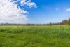 Davis Road, Coonawarra, SA 5263-Image