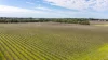 Davis Road, Coonawarra, SA 5263-Image
