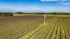 Davis Road, Coonawarra, SA 5263-Image