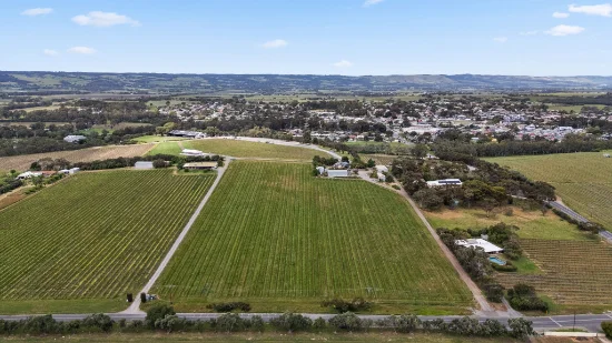 Lot 100 Chalk Hill Road, McLaren Vale, SA 5171