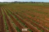 Lot/2 Lowan Avenue, Red Cliffs, Vic 3496-Image