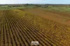 Lot/2 Lowan Avenue, Red Cliffs, Vic 3496-Image