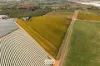 Lot/2 Trioda Street, Red Cliffs, Vic 3496-Image