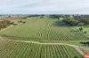 Lot 25 Koch Road, Rowland Flat, SA 5352-Image