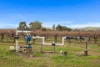 Lot 351 Angaston Road, Nuriootpa, SA 5355-Image