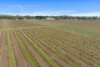 Lot 351 Angaston Road, Nuriootpa, SA 5355-Image
