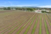Lot 351 Angaston Road, Nuriootpa, SA 5355-Image