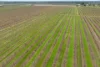 Lot 351 Angaston Road, Nuriootpa, SA 5355-Image